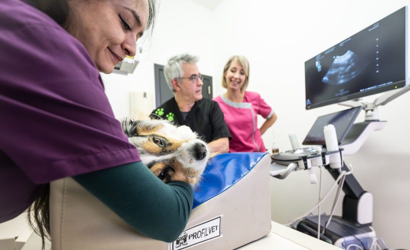 DSC_9663-Avec accentuation-Bruit-2